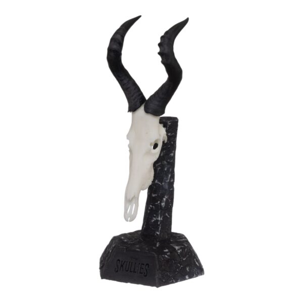 SKULLIES – Miniature Red Hartebeest Skull