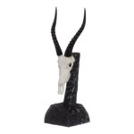 SKULLIES – Miniature Blesbok Skull
