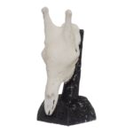 SKULLIES – Miniature Giraffe Skull