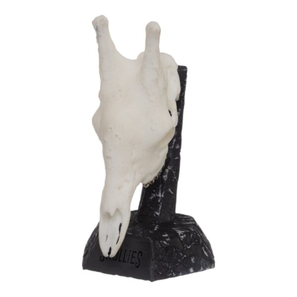 SKULLIES – Miniature Giraffe Skull