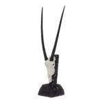 SKULLIES – Miniature Gemsbok Skull