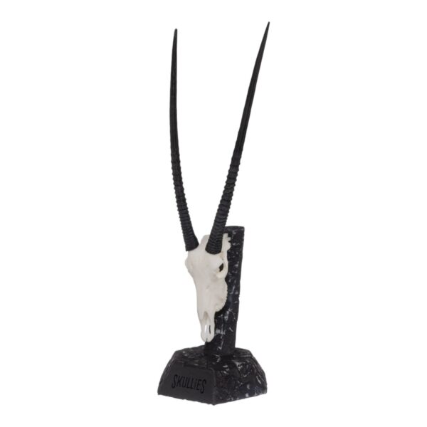 SKULLIES – Miniature Gemsbok Skull