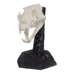SKULLIES – Miniature Leopard Skull