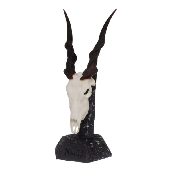 SKULLIES – Miniature Eland Skull