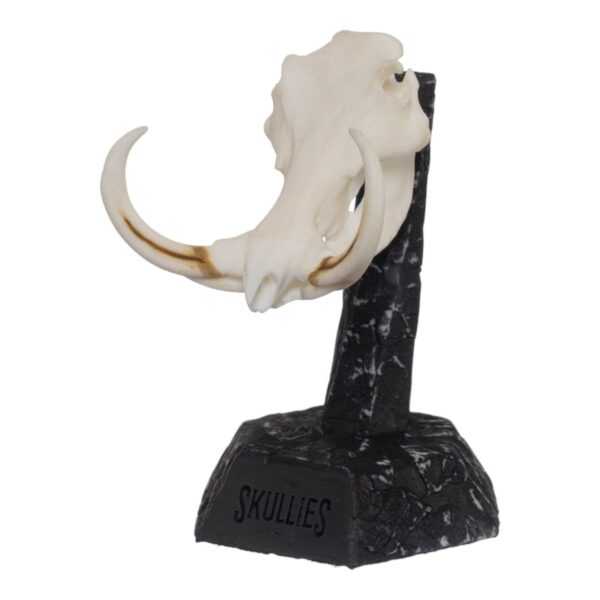 SKULLIES – Miniature Warthog Skull