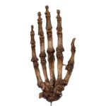 Real Articulated Human Hand on Stand- Antique