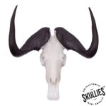 SKULLIES – Miniature Black Wildebeest Skull