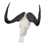 SKULLIES – Miniature Black Wildebeest Skull