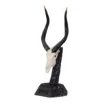 SKULLIES – Miniature Nyala Skull