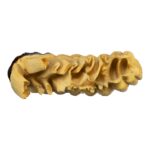 Replica African Elephant Tooth – 4 lb