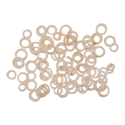 Real Bag-O-Bird Ossicles