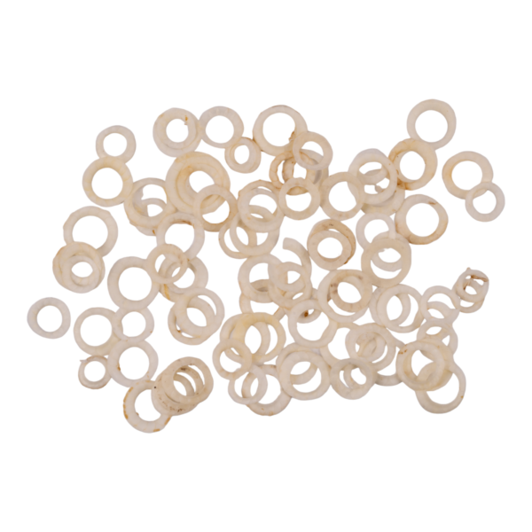 Real Bag-O-Bird Ossicles