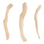 Real Baculum Set – Domestic Dog and River Otter