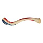 Real Human Clavicle – Painted