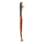 Real Human Ulna – Painted