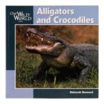 “Alligators and Crocodiles” by Deborah Dennard
