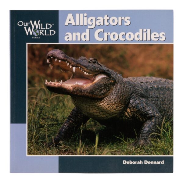 “Alligators and Crocodiles” by Deborah Dennard