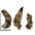 Real Tail Hide – Assorted Species (Green)
