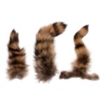 Real Raccoon Tail Hide – Single