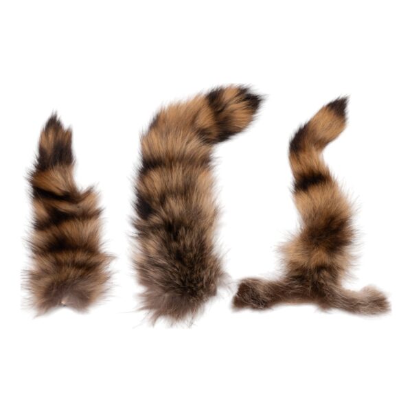 Real Raccoon Tail Hide – Single