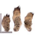 Real Tail Hide – Assorted Species (Single)