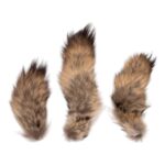 Real Tail Hide – Assorted Species (Single)
