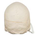 Real Research Quality Human Skull – 870 g