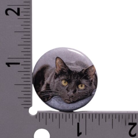 Sir Indiana Bones Button