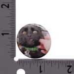 Sir Indiana Bones Button