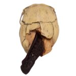 Replica Spanish Conquistador Human with Broad Ax Trauma Skull