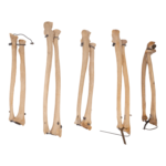 Real Human Ulna and Radius – Antique, Articulated