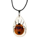 Real Shield Bug in Acrylic Necklace
