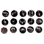 SKELETONS: Museum of Osteology Skulls and Skeletons Button – Single