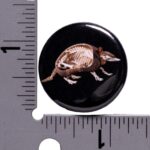SKELETONS: Museum of Osteology Skulls and Skeletons Button – Single