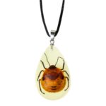 Real Shield Bug in Acrylic Necklace