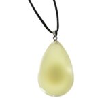 Real Shield Bug in Acrylic Necklace