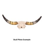 Real Longhorn Skull Plate – Limited Quantity