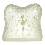 Real Bat Skeleton in Acrylic Paperweight – Textured Background