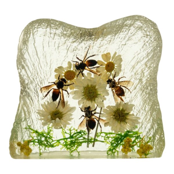 Real Honey Bee with Flowers in Acrylic Paperweight