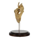 Real Human Partial Skull on Stand