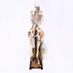 Real “Centaur” Skeleton