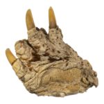 Real Common Snapping Turtle Foot – Freeze Dried