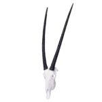 SKULLIES – Miniature Gemsbok Skull
