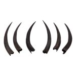 Real Kudu Horn – Single