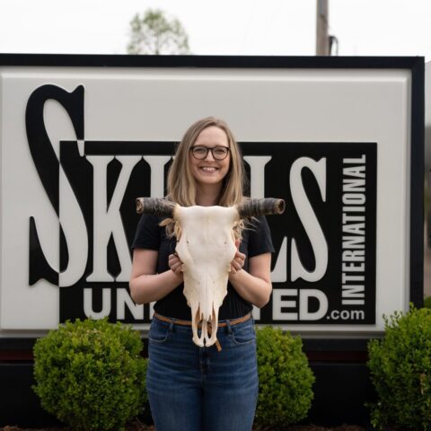Real Longhorn Skull - Economy Quality