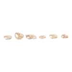 Real Bag-O-Rodent Skulls