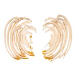 Real Research Quality Human Ribs – Set of 24