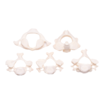 Real Research Quality Human Vertebrae