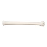 Real Southern Giraffe Cannon Bone