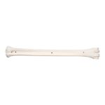 Real Southern Giraffe Cannon Bone